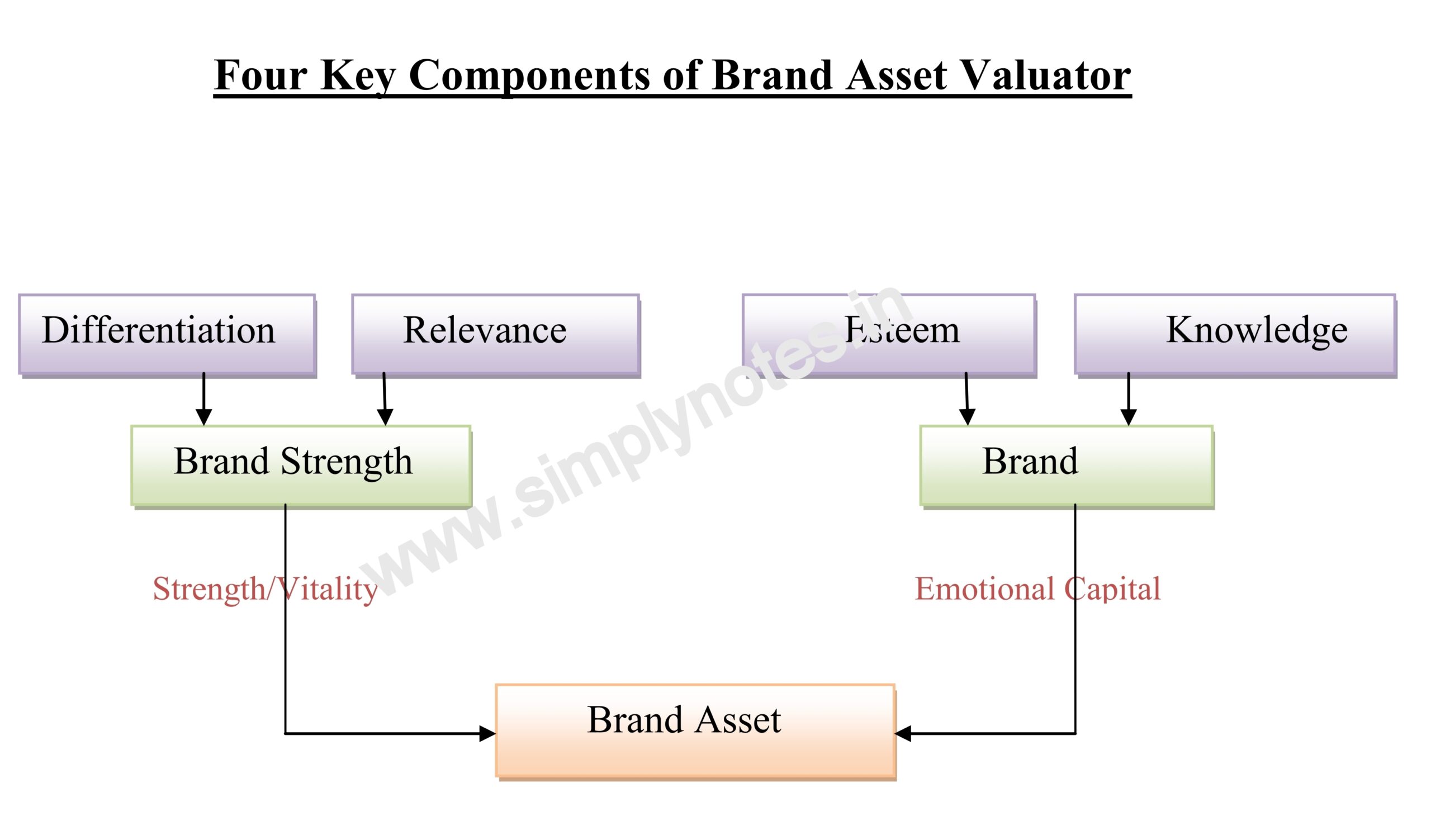 Brand Asset Valuation