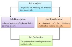 Job analysis