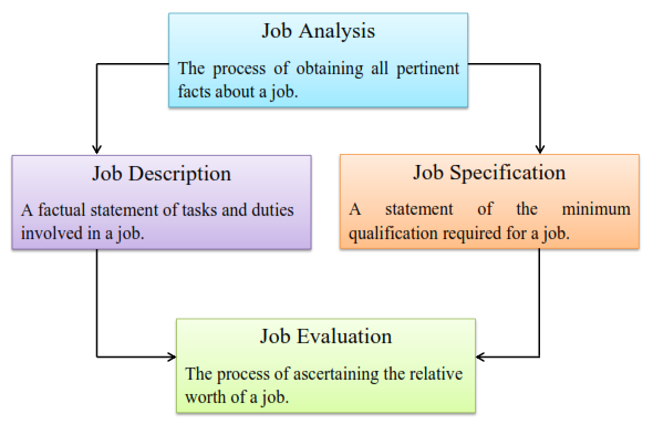 Write a short note on the components of job analysis