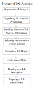 Process of Job analysis