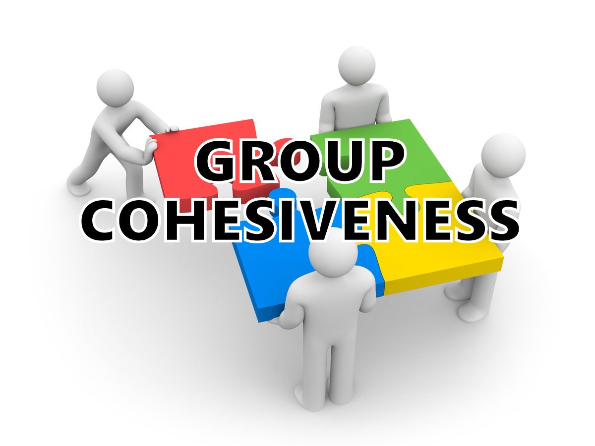 Group Cohesiveness - Meaning and Factors - Organizational Behaviour ...
