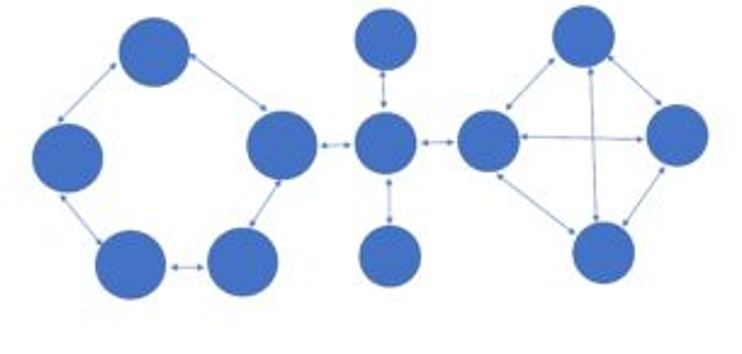 hybrid network