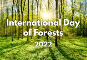 international day of forest 2022