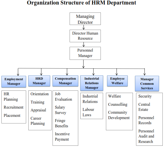 Kinds of departments. HR Department structure. Структура HR. Организационная структура HR компании. Организационная структура HR отдела.