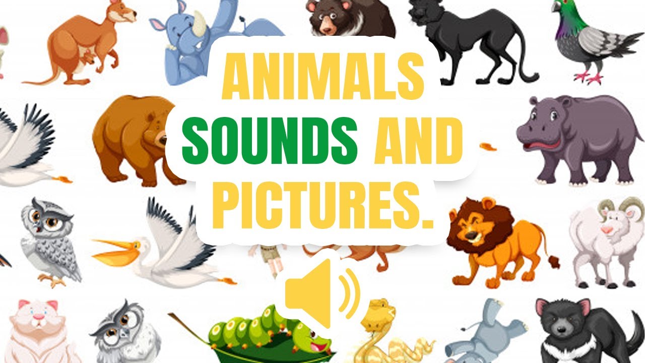 List of Animal Sounds – English vocabulary